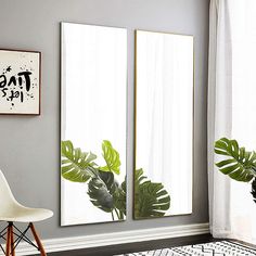 a room with two mirrors and a plant on the wall