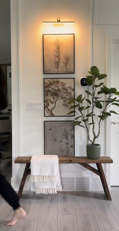 a wooden bench sitting in the middle of a living room next to a potted plant