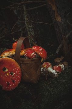 a basket full of mushrooms sitting on the ground