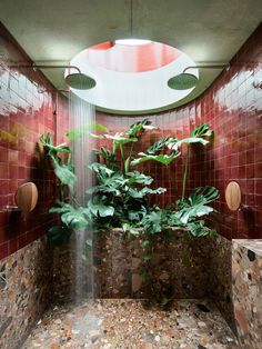 a bathroom with red tiles and green plants in the shower