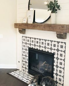 a dog laying on the floor in front of a fireplace with a mirror above it