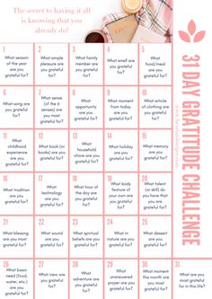 31 Day Gratitude Challenge - Heart & Stripes 31 Days Of Gratitude Challenge, Tik Tok Videos Funny, August Challenge, Music Challenge, 31 Day Challenge, Journal Challenge, Gratitude Journal Prompts, Gratitude Challenge, Tik Tok Videos