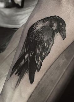 a black and white photo of a bird on the arm