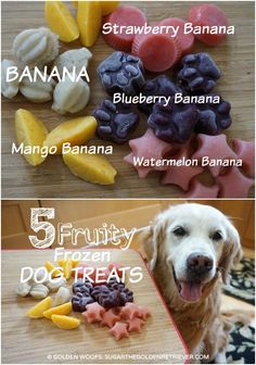 four different types of dog treats on a cutting board with the words 5 frozen treats