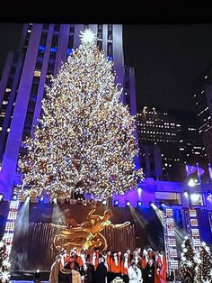 people standing in front of a large christmas tree