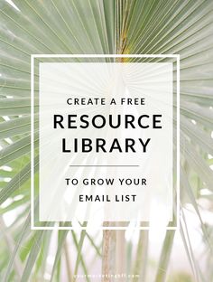 a palm tree with the text create a free resources library to grow your email list