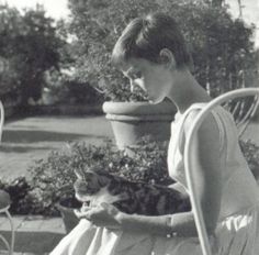 Audrey Hepburn Pixie Haircut, Audrey Hepburn Hair Pixie, Audrey Hepburn Haircut, Celebrities With Cats, Rosie The Riveter, Actrices Hollywood