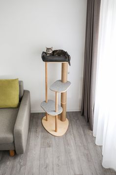 a cat sitting on top of a scratching post in a living room next to a couch