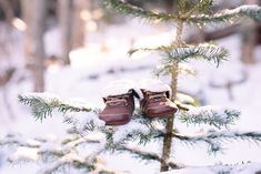 two pairs of brown shoes sitting on top of a snow covered tree