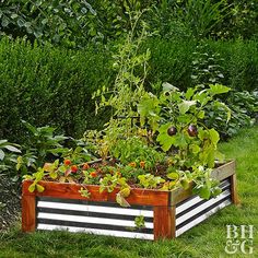 a garden box filled with lots of plants