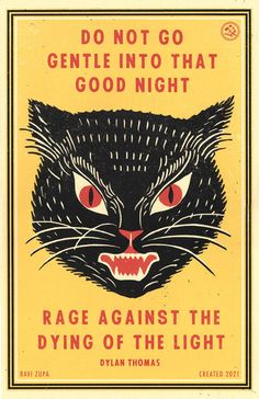 a black cat with red eyes and the words, do not go gentle into that good night rage against the dying of the light