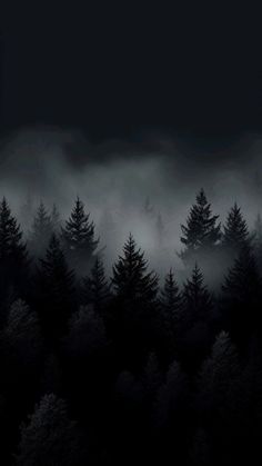 black and white photograph of trees with fog in the sky behind them at night time