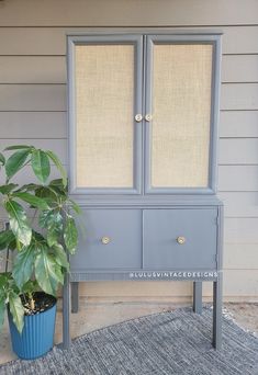 a blue cabinet sitting on top of a rug next to a potted plant