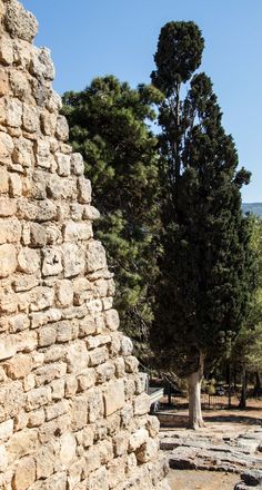 a stone wall with trees in the background