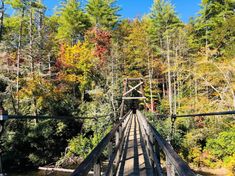 a wooden bridge in the middle of a forest