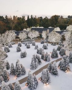 an aerial view of a snow - covered garden with trees and buildings in the background