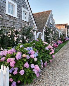 a row of houses next to each other with pink and blue flowers in the front