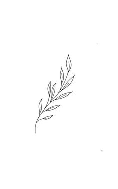 Laurel Tattoo, Wreath Tattoo, Basic Tattoos, Fern Tattoo, Branch Tattoo, Vine Tattoos, Plant Tattoo