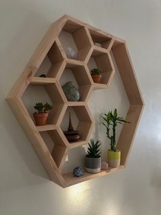 a wooden shelf filled with potted plants on top of a white wall next to a green plant