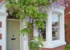 a tree with purple flowers growing out of it next to a white door and window