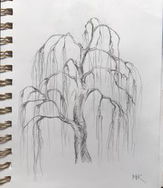 a pencil drawing of a tree in the rain