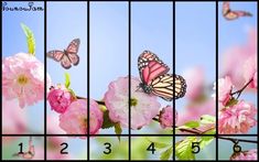 butterflies flying over pink flowers on a tree with blue sky in the backround