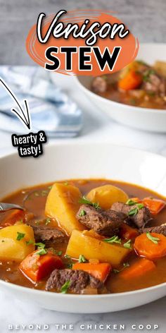 a white bowl filled with stew next to another bowl full of meat and carrots