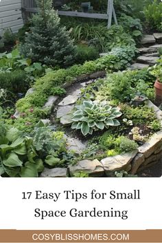 This pin offers 17 expert tips for small space gardening. Learn simple ways to optimize your tiny garden areas for a great harvest using effective techniques like vertical planting. Productive Garden, Tiny Balcony, Vertical Planter, Green Oasis, Small Space Gardening, Urban Garden