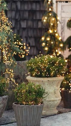 three potted plants with lights on them in front of a house and trees outside