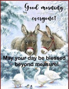 two donkeys are standing next to each other in front of snow covered trees and geese