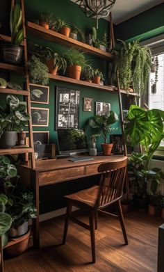 an office with green walls and wooden shelves filled with potted plants on top of the desk