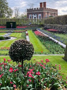 the garden is full of colorful flowers and greenery