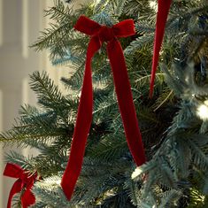 a close up of a christmas tree with red bows