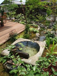 a small pond in the middle of a garden