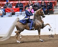 a woman riding on the back of a brown horse in an arena with people watching