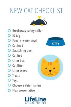 the new cat checklist is here to help you know what it's like