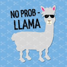 a llama with sunglasses and the words no prob - llama on it