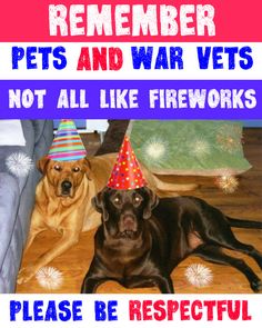 Below is a list of a few extra precautions you can take to help keep your pet as safe as they can be this 4th of July. Description from heartlikeadog.com. I searched for this on bing.com/images Fireworks Quotes, Dog Wisdom, Fb Games, Bright Quotes, Dog Words, Powerful Pictures, Summer Health, Independance Day, Veterinary Technician