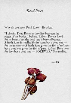 the dead roses book is open to read