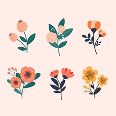 four different types of flowers on a pink background