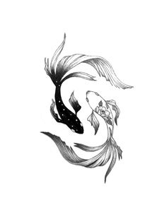 a black and white drawing of a koi fish with its tail blowing in the wind