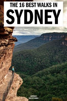 a person standing on the edge of a cliff with trees and mountains in the background