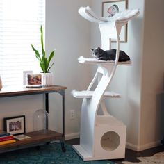 a cat sitting on top of a white shelf in a living room next to a window