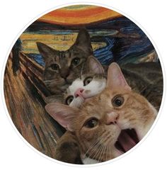 three cats are looking at the camera in front of an image of the scream painting