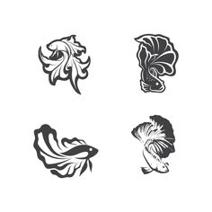 four different types of fish in black and white