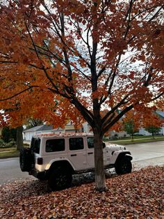 a white jeep parked next to a tree with leaves on the ground in front of it