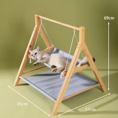 a cat laying on top of a blue mat in front of a wooden frame with measurements