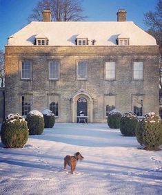 a dog standing in front of a large brick building with snow on it's ground