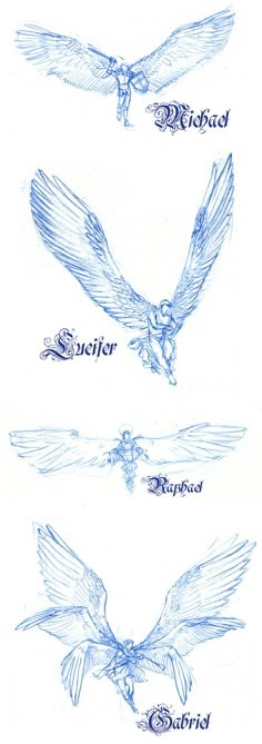 three different types of birds flying in the air with words written on each side of them