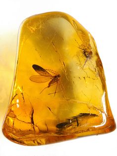 some kind of yellow glass with mosquito on it